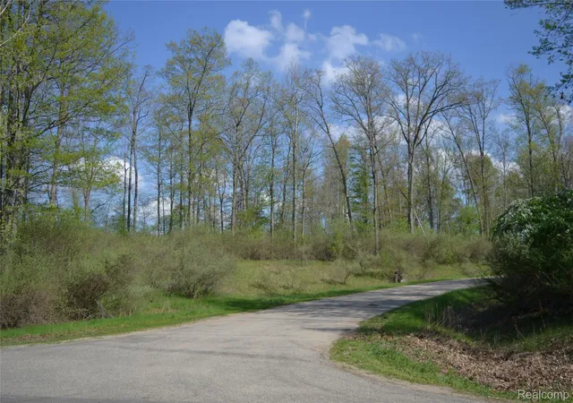 1st image of 00 Oak Ridge Ct, Sterling, MI 48659 | MLS# 20250036901