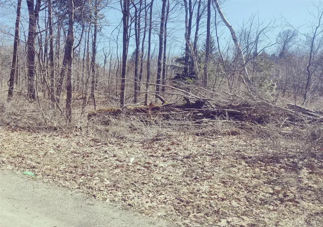 Photo 3 of Land for sale at 0 Schott Rd, Harbor Beach, MI 48441 | MLS# 20251002052 | Listing updated on 2026-07-06