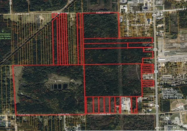 Photo 2 of Land for sale at 19958 Telegraph Rd, Romulus, MI 48174 | MLS# 20251002347 | Listing updated on 2026-07-07