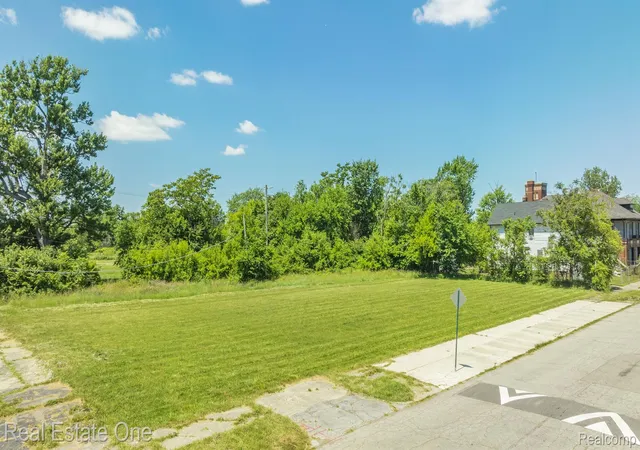 Photo 3 of Land for sale at 1075 Coplin St, Detroit, MI 48215 | MLS# 20251004307 | Listing updated on 2026-07-06