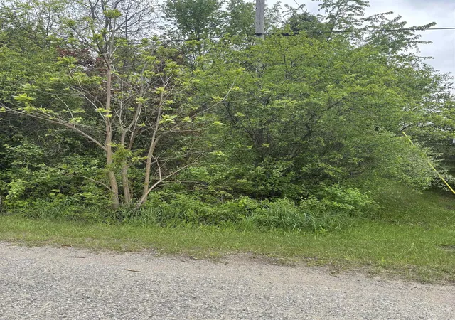 Photo 1 of Land for sale at Lot 49 Leona Dr, Mount Pleasant, MI 48858 | MLS# 79080057933 | Listing updated on 2026-06-01