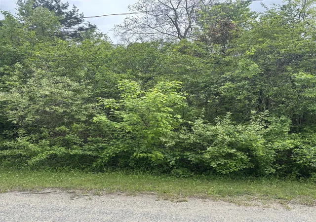 Photo 2 of Land for sale at Lot 49 Leona Dr, Mount Pleasant, MI 48858 | MLS# 79080057933 | Listing updated on 2026-06-01