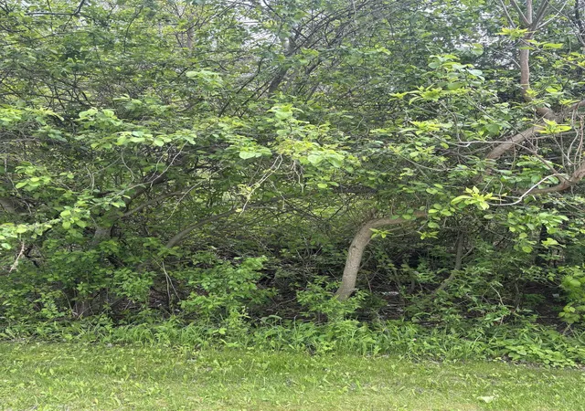 Photo 3 of Land for sale at Lot 49 Leona Dr, Mount Pleasant, MI 48858 | MLS# 79080057933 | Listing updated on 2026-06-01