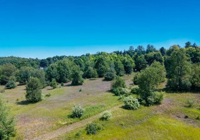 4th image of 000 South St, Benzonia, MI 49616 | MLS# 78080057986