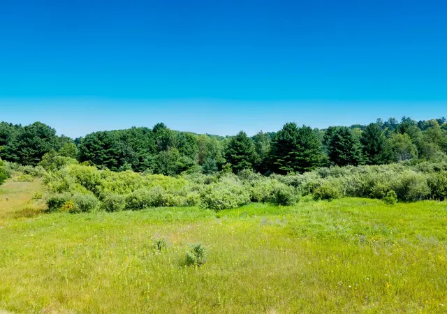 5th image of 000 South St, Benzonia, MI 49616 | MLS# 78080057986