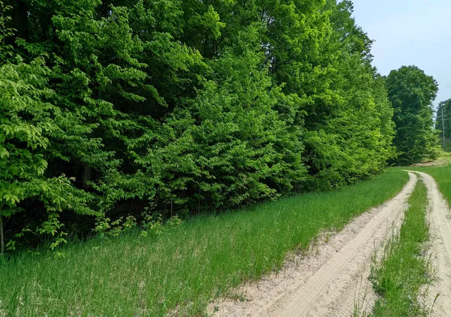 Photo 2 of Land for sale at Lot 320,321 Swiss Village, Kearney Township Antrim, MI 49615 | MLS# 78080058036 | Listing updated on 2026-06-28