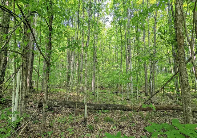 Photo 3 of Land for sale at Lot 320,321 Swiss Village, Kearney Township Antrim, MI 49615 | MLS# 78080058036 | Listing updated on 2026-06-28