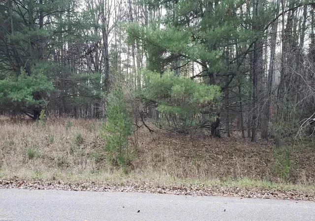 Photo 1 of Land for sale at Robindale Way, Gladwin, MI 48624 | MLS# 58050177219 | Listing updated on 2026-06-22