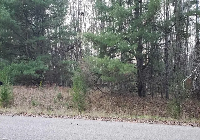 Photo 2 of Land for sale at Robindale Way, Gladwin, MI 48624 | MLS# 58050177219 | Listing updated on 2026-06-22