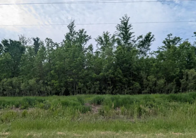 1st image of N/a Twining Rd, Twining, MI 48766 | MLS# 77080058170