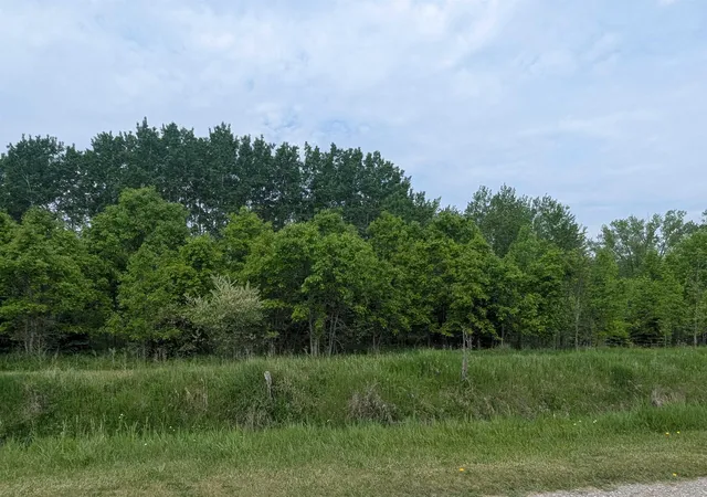 2nd image of N/a Twining Rd, Twining, MI 48766 | MLS# 77080058170