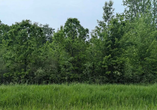 8th image of N/a Twining Rd, Twining, MI 48766 | MLS# 77080058170