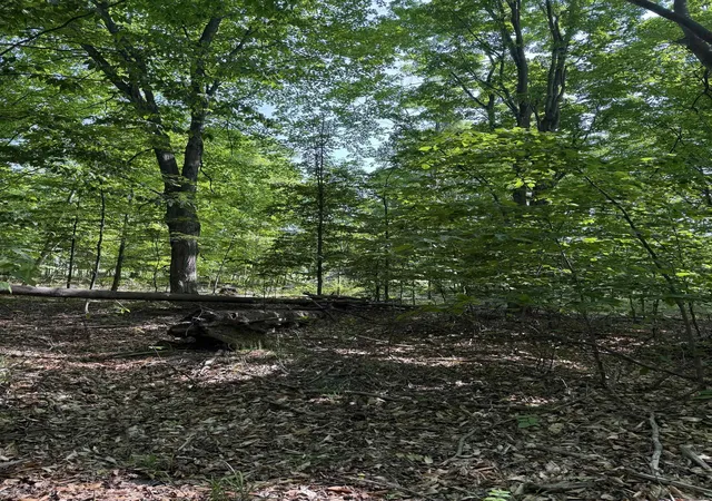 2nd image of 0000 Mooney Way, Kewadin, MI 49648 | MLS# 78080058208