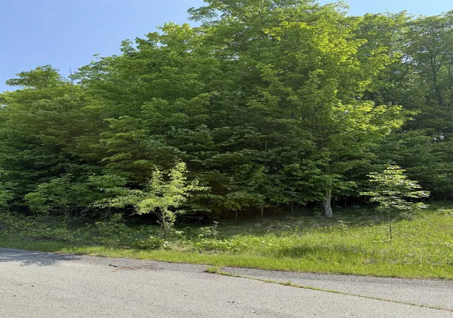 3rd image of 0000 Mooney Way, Kewadin, MI 49648 | MLS# 78080058208
