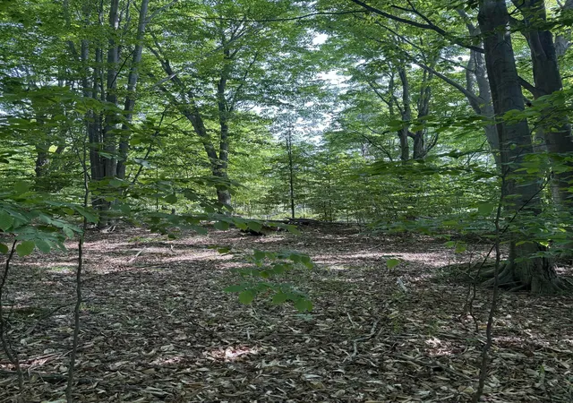 4th image of 0000 Mooney Way, Kewadin, MI 49648 | MLS# 78080058208