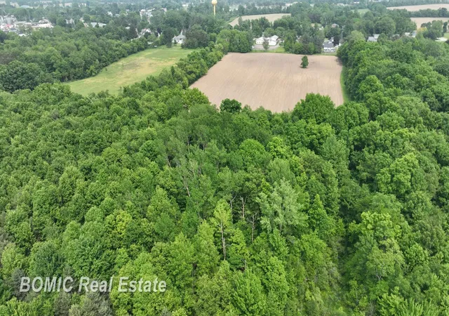 Homes for sale in Millington, MI | Vl Fulmer Rd, Millington, MI 48746 | MLS# 61050177989