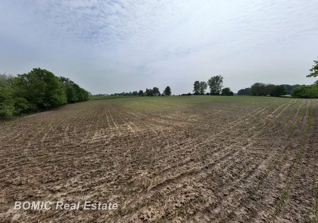 Homes for sale in Millington, MI | Vl Fulmer Rd, Millington, MI 48746 | MLS# 61050177989