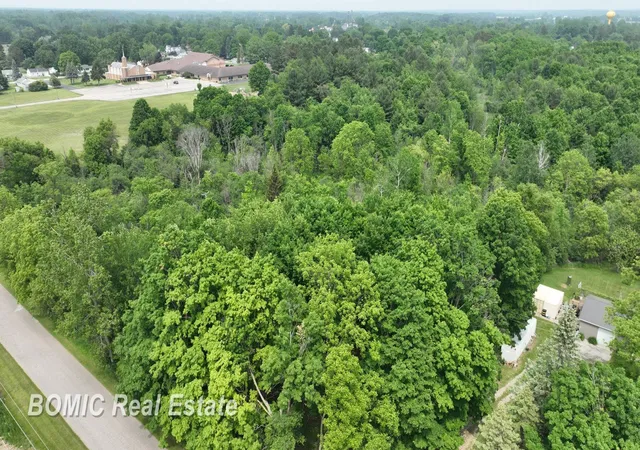 Homes for sale in Millington, MI | Vl Fulmer Rd, Millington, MI 48746 | MLS# 61050177989
