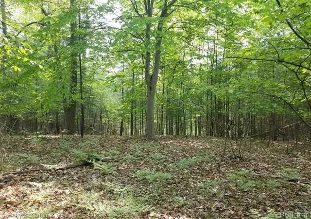 1st image of 115 E Birmingham, Idlewild, MI 49642 | MLS# 20251007854