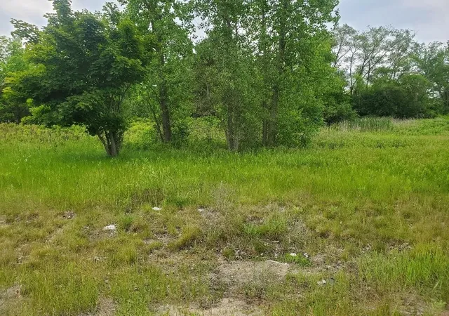 5th image of 7205 E Pickard Rd, Mount Pleasant, MI 48858 | MLS# 79080058531