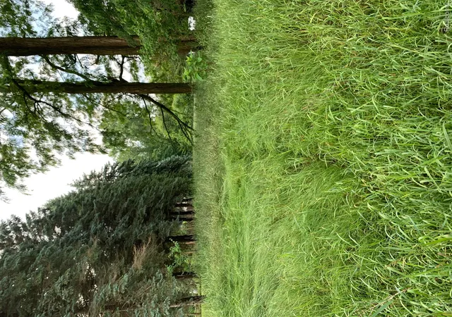1st image of 0 Silver Lake Rd, Linden, MI 48451 | MLS# 20251009849