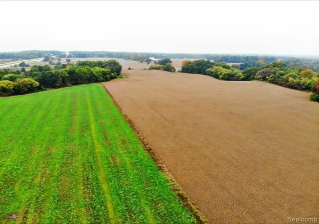 Photo 3 of Land for sale at Vacant W Michigan Ave, Albion, MI 49224 | MLS# 20251010192 | Listing updated on 2026-06-22