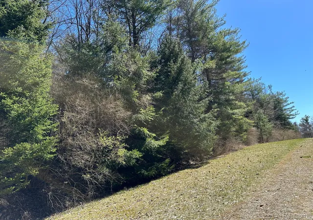 4th image of 423 Acres Vl - Knights Bridge Rd, Leonard, MI 48367 | MLS# 20251013474