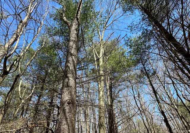 Photo 1 of Land for sale at 202 Acres Vl   Knights Bridge Rd, Pontiac, MI 48340 | MLS# 20251013477 | Listing updated on 2026-05-18