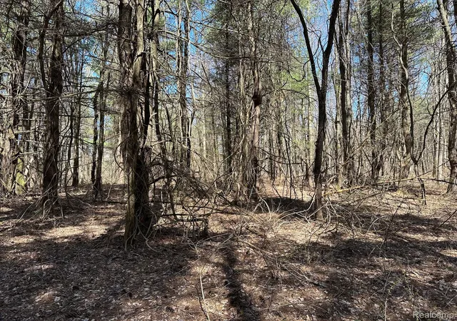 Photo 4 of Land for sale at 202 Acres Vl - Knights Brg Rd, Pontiac, MI 48340 | MLS# 20251013477 | Listing updated on 2026-10-31