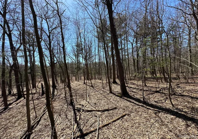Photo 2 of Land for sale at 205 Acres Vl   Knights Bridge Rd, Addison Township Oakland, MI 48367 | MLS# 20251013484 | Listing updated on 2026-05-18