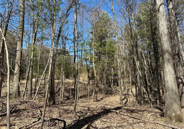 Photo 3 of Land for sale at 205 Acres Vl - Knights Brg Rd, Addison Township Oakland, MI 48367 | MLS# 20251013484 | Listing updated on 2026-05-18