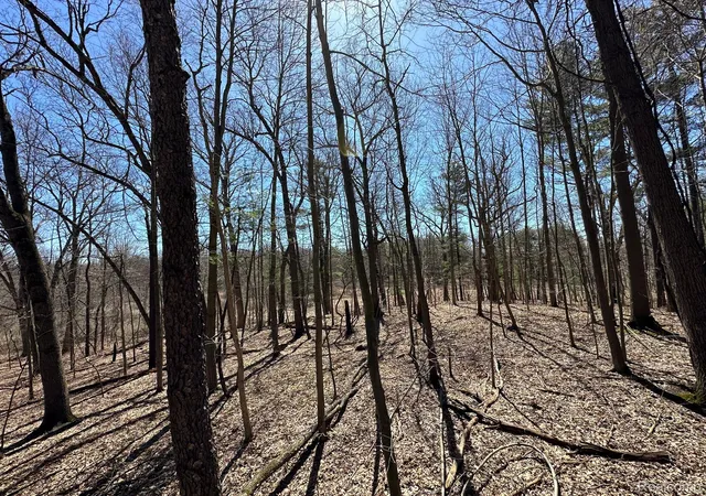 Photo 4 of Land for sale at 205 Acres Vl - Knights Brg Rd, Addison Township Oakland, MI 48367 | MLS# 20251013484 | Listing updated on 2026-05-18