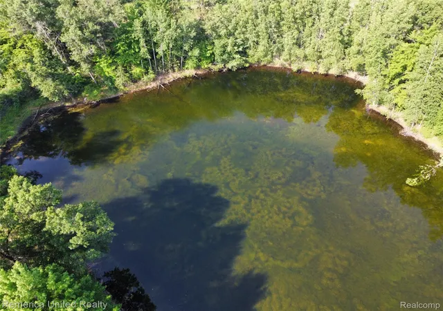 2nd image of Vl Pondside Dr Lot 02, Surrey Township Clare, MI 48622 | MLS# 20251015572