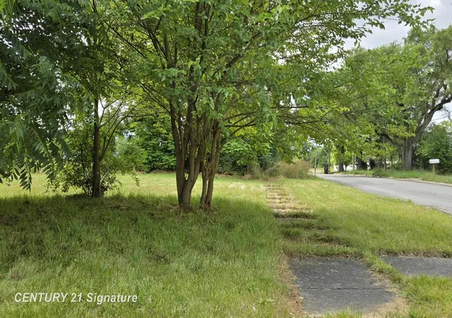 Photo 3 of Land for sale at Donaldson St, Flint, MI 48504 | MLS# 5050181263 | Listing updated on 2026-08-17