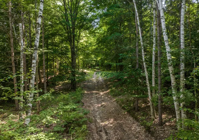 3rd image of 0000 Hjelte Rd, Kewadin, MI 49648 | MLS# 78080059501