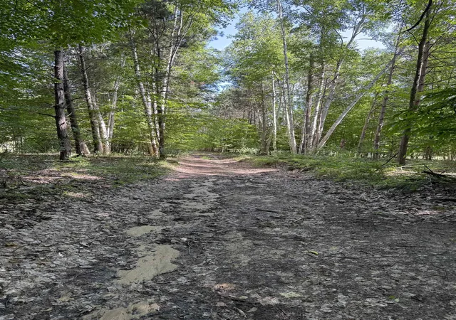 4th image of 0000 Hjelte Rd, Kewadin, MI 49648 | MLS# 78080059501