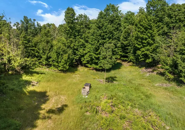 5th image of 0000 Hjelte Rd, Kewadin, MI 49648 | MLS# 78080059501