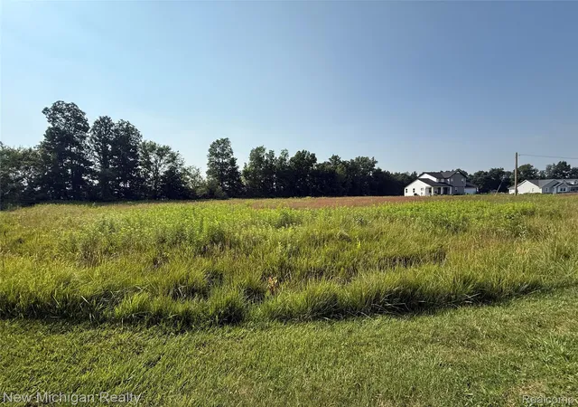 Homes for sale in New Lothrop, MI | 9807 Oak Ridge Rd, New Lothrop, MI 48460 | MLS# 20251016924