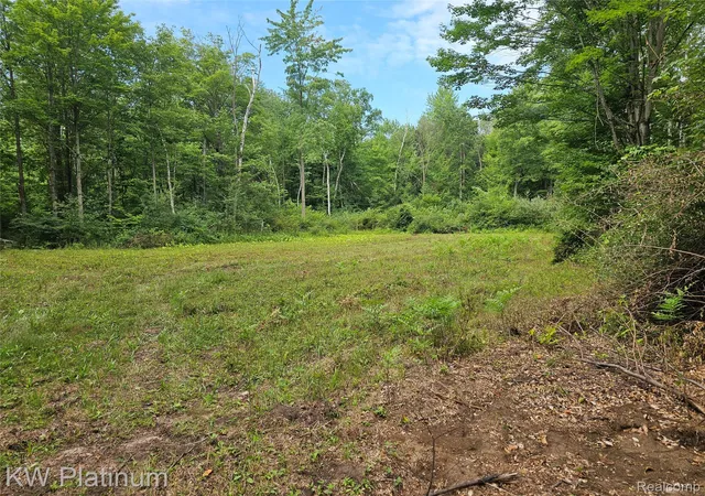 Photo 3 of Land for sale at 1 Ravenswood Rd, Kimball Township St Clair, MI 48074 | MLS# 20251017048 | Listing updated on 2026-09-09
