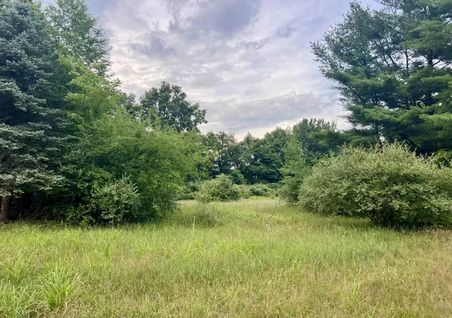 Land for sale at 1143 38th Street, Allegan, MI 49010 | MLS# 66025035443 | Listing updated on 2025-10-06