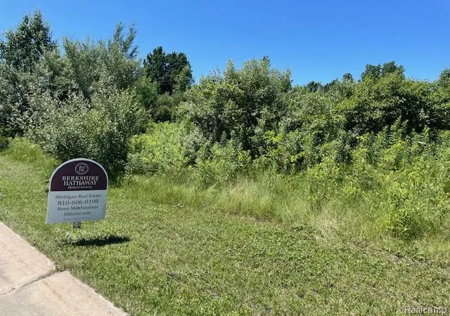 1st image of 6460 Atlas Lakes Dr, Atlas, MI 48411 | MLS# 20251018707
