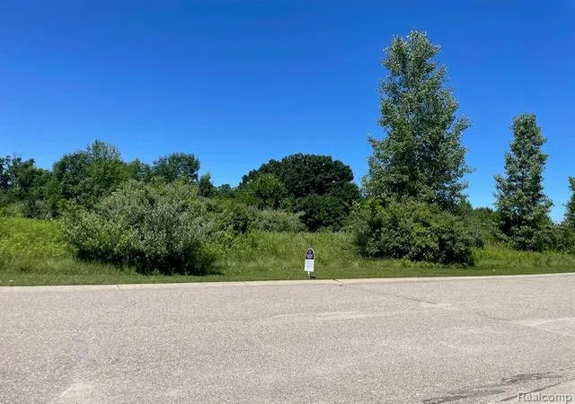 3rd image of 6460 Atlas Lakes Dr, Atlas, MI 48411 | MLS# 20251018707