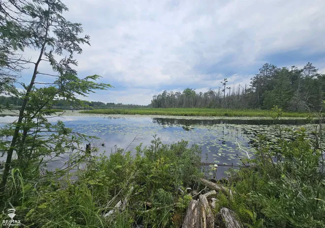 Photo 1 of Land for sale at Spile Dam Rd, Millersburg, MI 49759 | MLS# 60050182643 | Listing updated on 2026-07-21