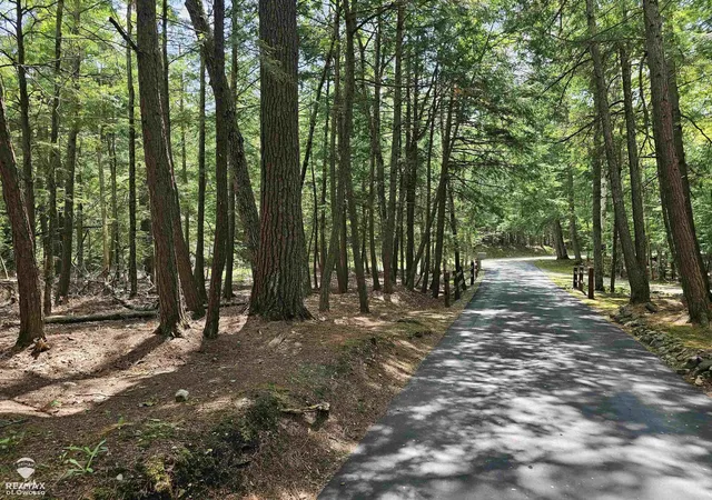 Photo 3 of Land for sale at Spile Dam Rd, Millersburg, MI 49759 | MLS# 60050182643 | Listing updated on 2026-07-21
