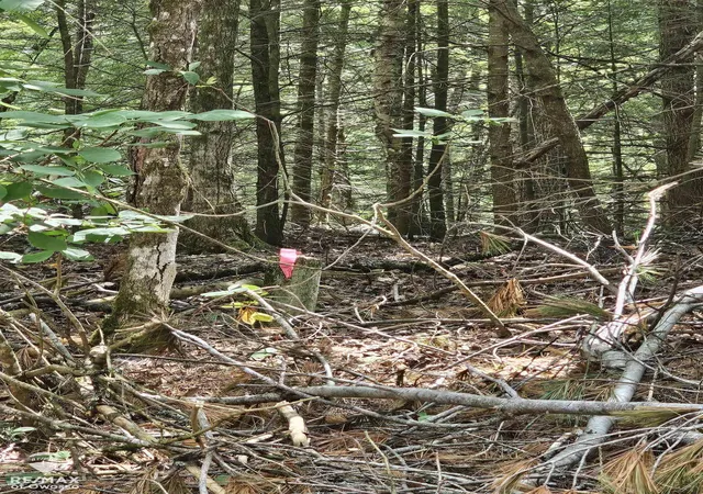 Photo 4 of Land for sale at Spile Dam Rd, Millersburg, MI 49759 | MLS# 60050182643 | Listing updated on 2026-07-21