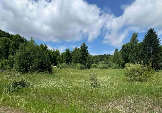 1st image of Lots 32 S Ski View Cir, Cedar, MI 49621 | MLS# 78080059958