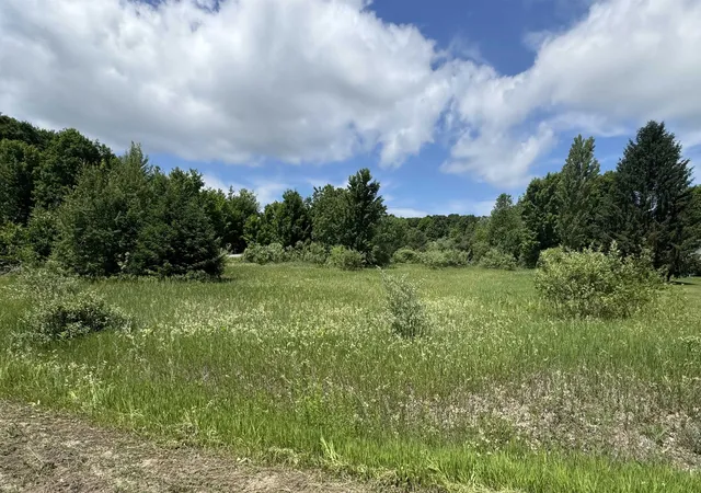8th image of Lots 32 S Ski View Cir, Cedar, MI 49621 | MLS# 78080059958
