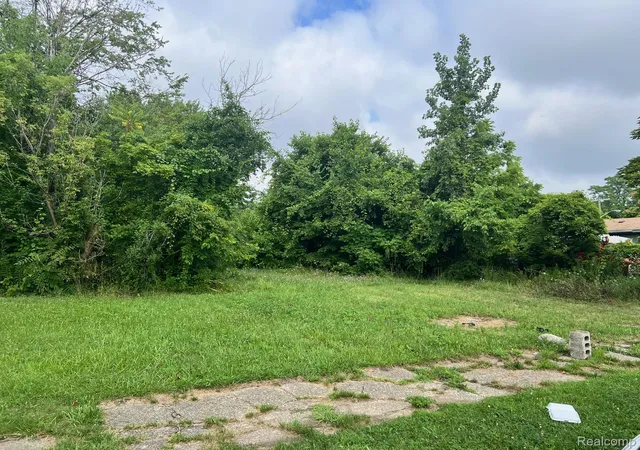 Photo 1 of Land for sale at 9161 Delmar St, Detroit, MI 48211 | MLS# 20251021291 | Listing updated on 2026-08-12