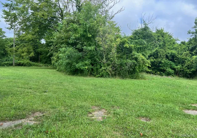 Photo 1 of Land for sale at 9155 Delmar St, Detroit, MI 48211 | MLS# 20251021294 | Listing updated on 2026-07-15