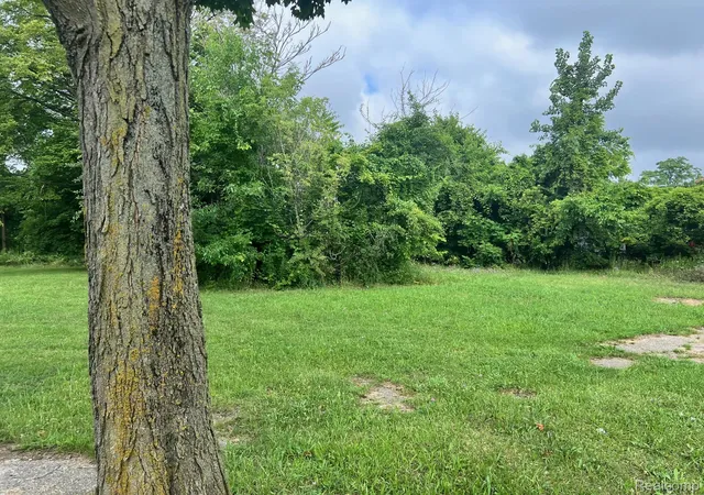 Photo 1 of Land for sale at 9149 Delmar St, Detroit, MI 48211 | MLS# 20251021297 | Listing updated on 2026-08-12